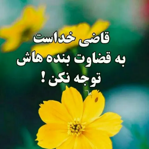 قاضی خداست