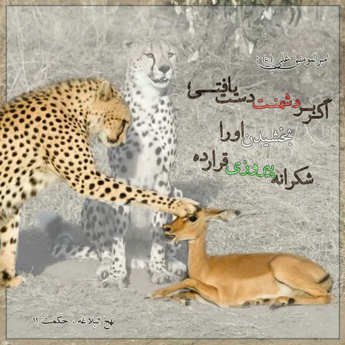 الشجره الملعونه