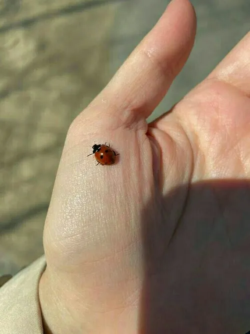 جوری که عکاسی یلدا خوبه:)