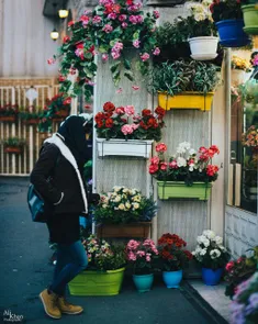 دنیای ما