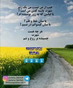 شعر شهرت زن تقدیم به خوبان