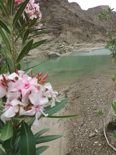 سلام دوستای گلم سال نوتون مبارک اینم اولین تفریح کوه سال 