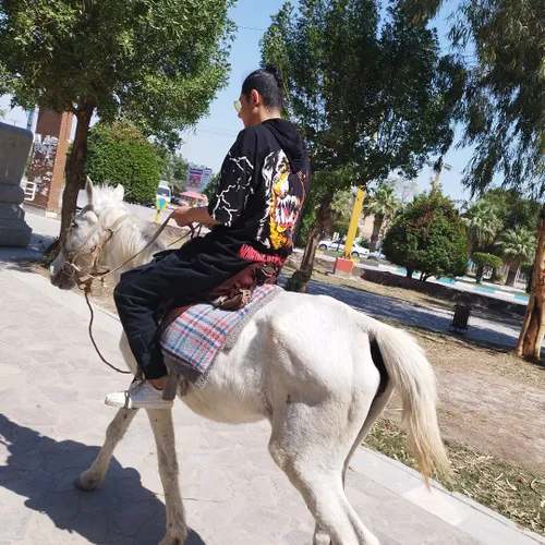 سلام دوستان عزیزم خوبید اینم عکس من در اسب سواری در پارک 