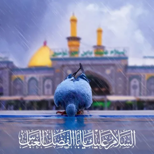 السَّلامُ عَلَیْکَ یا اَبَا الْفَضْلِ الْعَبّاسَ