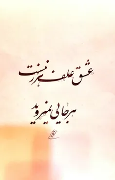 عشق علف هرز نیست
هرجایی نمی روید