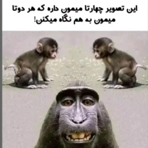  fzgdk 42735669 - عکس ویسگون