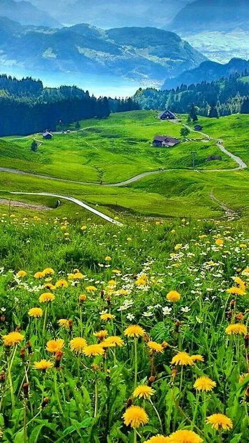 طبیعت💚