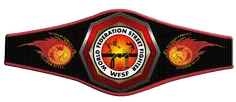 World Federation Street Fighter (WFSF), World Championshi