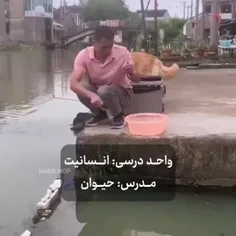 واحد درسی انسانیت، مدرس حیوانات ❤
