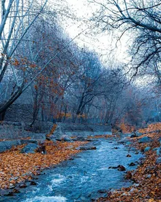 📌برغان