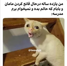 #طنز #گربه