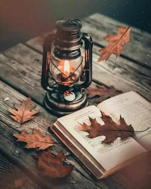 🍂 و اینک آمدن مهر است و روزگار پاییز🍂