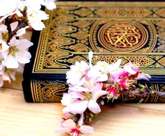 . #القـــرآن💚 💕 إن الإنسان إذا فتح القرآن، وقرأه قراءة من