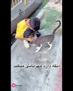 کسی که برای التیام درد انسان ها می کوشد مهربان است