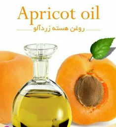 روغن هسته زردالو مانع ازپیر شدن پوست میشود👇 