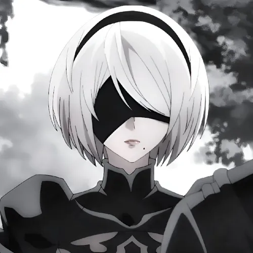 Neer automata🖤