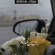 تقدیم به زندگیم:💐