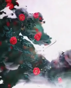 دَستانت‌ࢪا