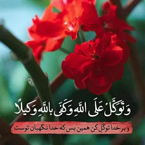 سلام و احترام🌷