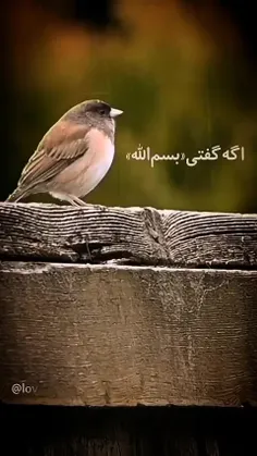 بگو به نام خدا