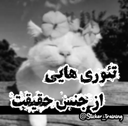 تئوری