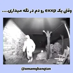 رندوم ترین چیزی که اومد تو ذهنتو تو کامنتا بنویس🍷