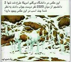 چندتا؟؟؟من خودم هم نمیدونم 