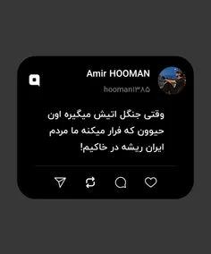وقتی جنگل اتیش میگیره اون حیوون که فرار میکنه ما مردم ایر