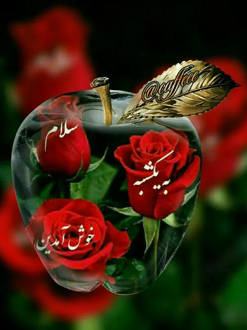 عکس نوشته farhankodajoo 27939183 - عکس ویسگون