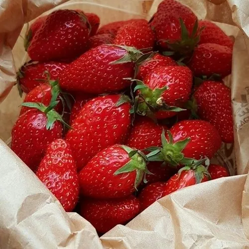 جــول‍ـیا | 🥟🍓