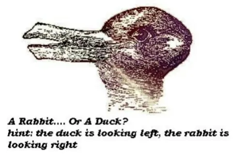 خرگوش یا اردک؟