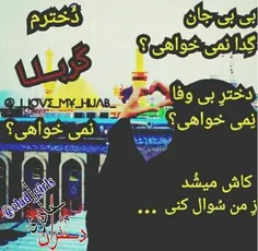 دلم کربلای حسین میخواد