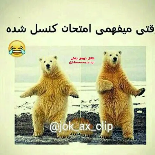 بزن برقص همه جا خخخخخ یالا یالا رقص شادی