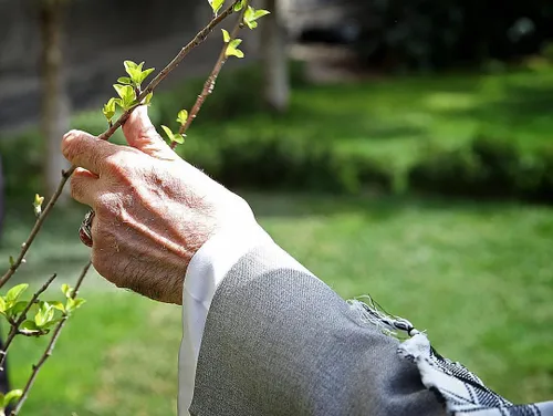 عکس های هنری قبل تو همه سوءتفاهم بود... رهبری عزیز