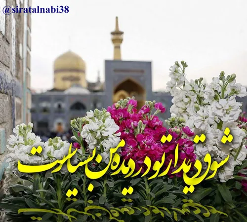 السلام علیک یا علی بن موسی الرضا علیه السلام