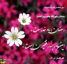 🌸 🍃  #رمضان ، بهار فقیران👆 