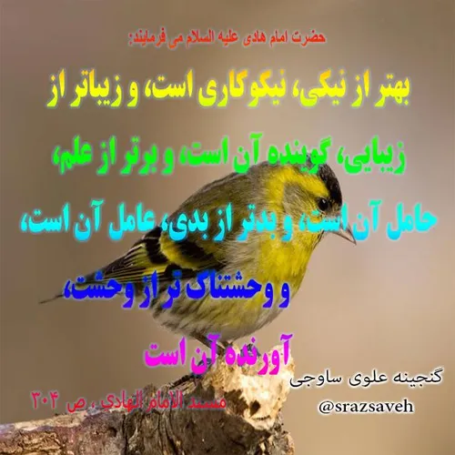 حضرت امام هادی ع می فرمایند: