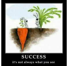 موفقیت همیشه اون چیزی که میبینیم نیست.