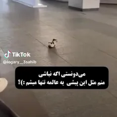 اگه نباشی تنهامممم🙃😔🥺