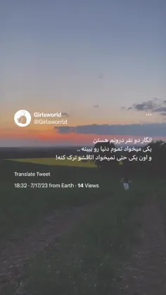 انگار دونفر درونم هستن 