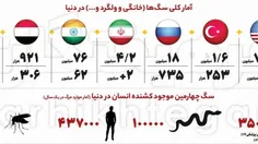 💢تعداد سگ‌های ولگرد در ایران ۸ برابر ترکیه