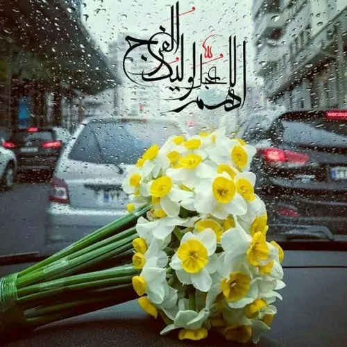 🌹اللهم عجل لولیک فرج🌹