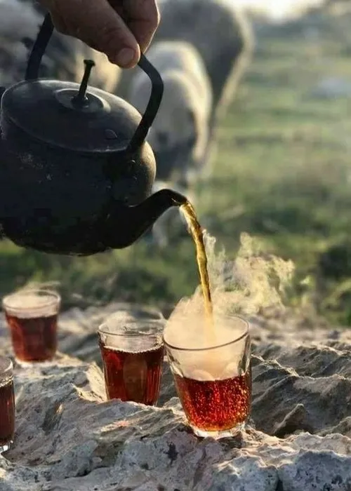 صبح بخیر زندگی😍