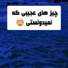 فکت های دارک🤯