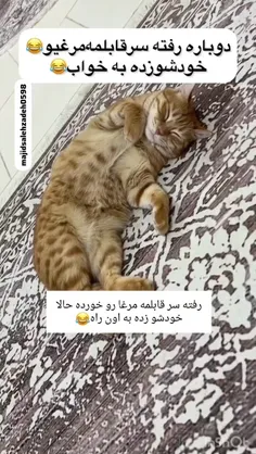 من گردن میگیرم، کارش نداشته باش😂😂
