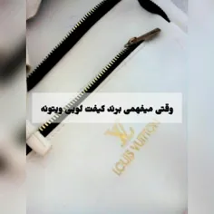 وقتی میفهمی برند کیفت لویی ویتونه