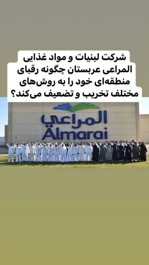 شرکت میهن