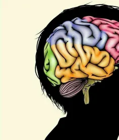 مغز مردان، صدای مردان دیگر را با همان بخشی از مغز که مربو