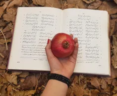 😻 ♥ ️🍁  چه عکسی گرفتم یلداتووون مبارک