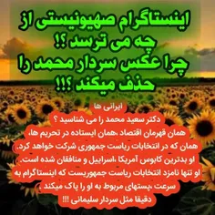 چرا اینستاگرام عکس سردار محمد را حذف میکند؟!